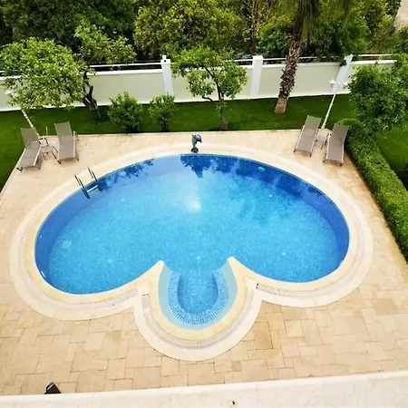 빌라 Ark Mansion Erler *
