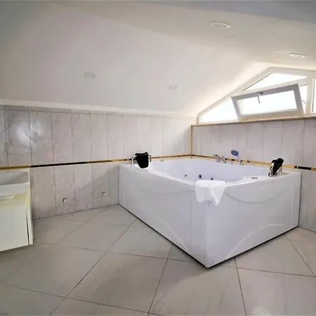 Ark Mansion Erler