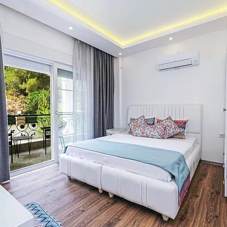 Ark Mansion Erler 빌라 *